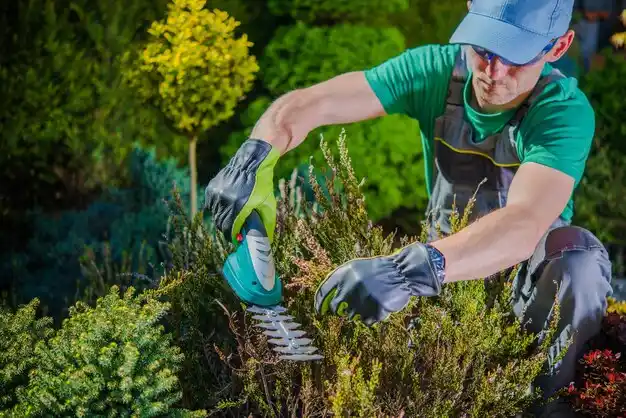 landscaping services Chestnut Ridge